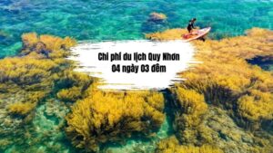 04 ngày 03 đêm du lịch Quy Nhơn hết bao nhiêu